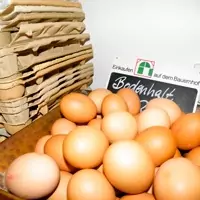 Regional einkaufen Weiden ► Die Abnehm-Akademie Weiden ei